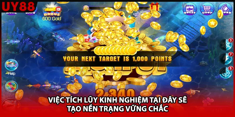 Việc tích lũy kinh nghiệm tại đây sẽ tạo nền trạng vững chắc